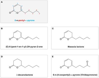 Uncovering the multifaceted properties of 6-pentyl-alpha-pyrone for control of plant pathogens